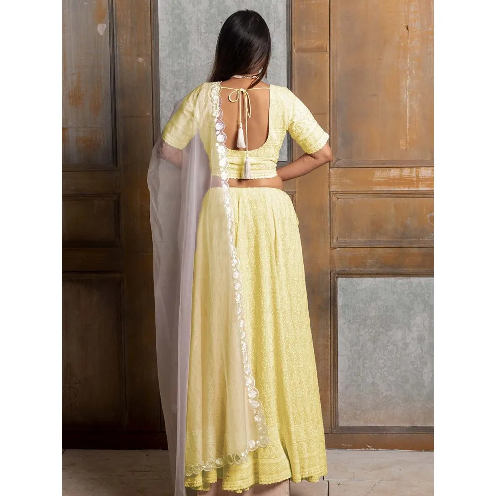 MONK & MEI Mallika Yellow Embroidered Lehenga (Set of 3)